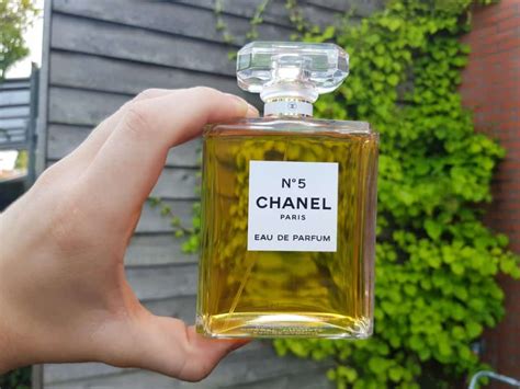 9 Fragrances Similar To Chanel No.5.